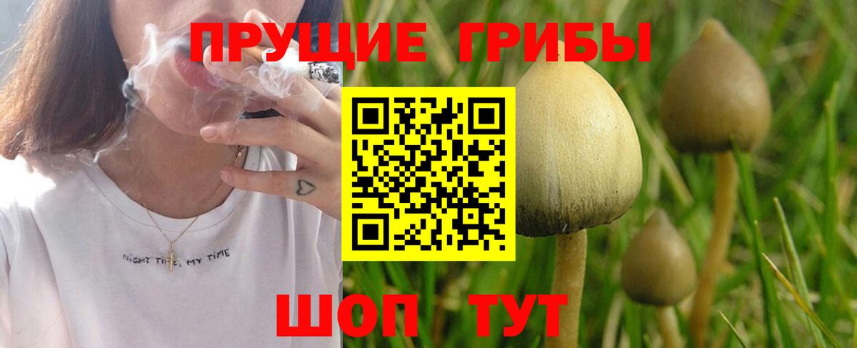 Галлюциногенные грибы прущие грибы  Галлюциногенные грибы MAGIC MUSHROOMS  Вход с VPN  Клинцы 